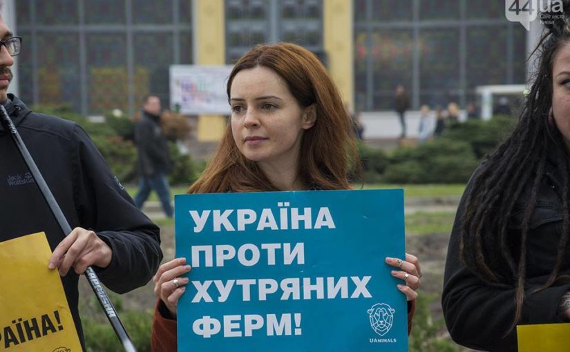 Ірина Сех підтримала громаду, яка протестує проти будівництва норкової ферми